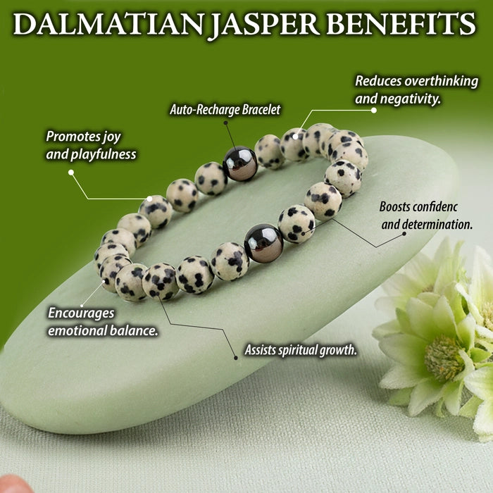 DALMATIAN JASPER